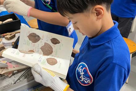 同定をがんばる受講生 同定をがんばる受講生