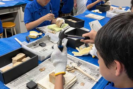 化石発掘スタート! 化石発掘スタート!