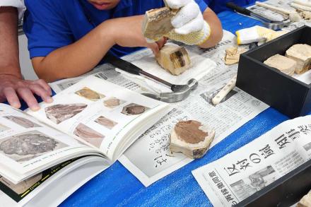 どの仲間かな? どの仲間かな?