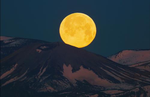 月うさぎ雪うさぎの写真