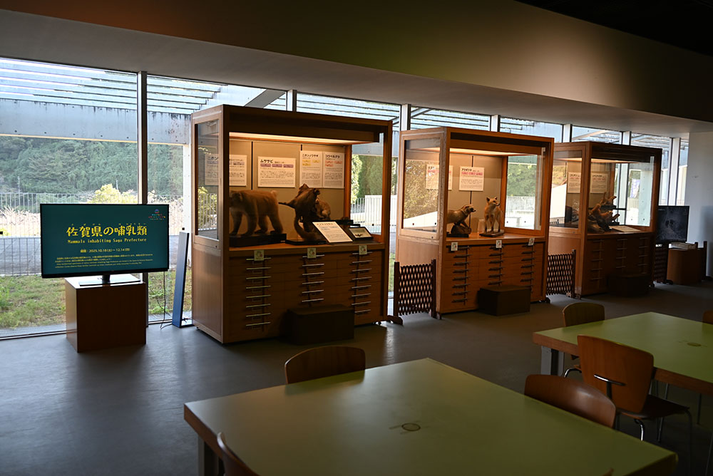 展示様子 展示様子