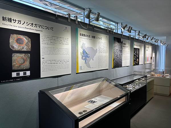 展示様子 展示様子