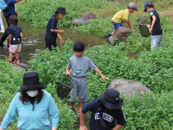 水辺の生き物観察の画像