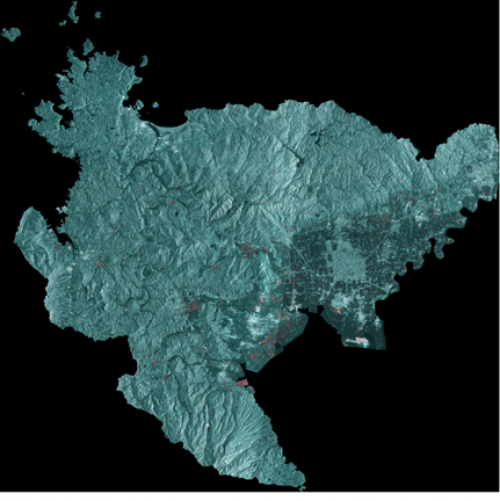 佐賀県衛星画像