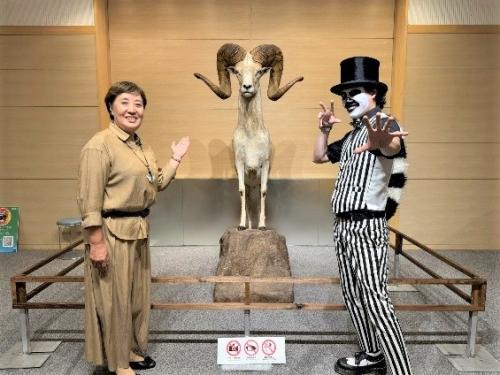 ワオキツネザル