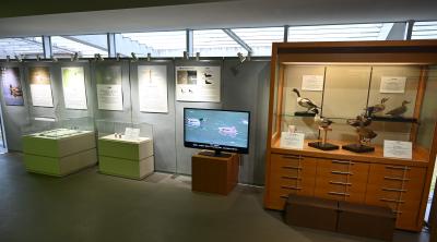 カモプチミュージアム