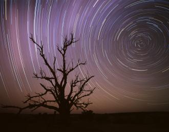 南天の軌跡写真