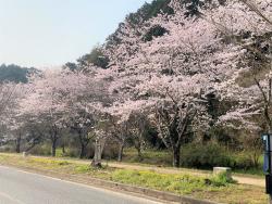科学館駐車場入り口