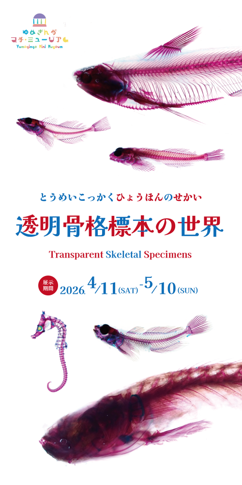 透明骨格標本の世界のメイン画像