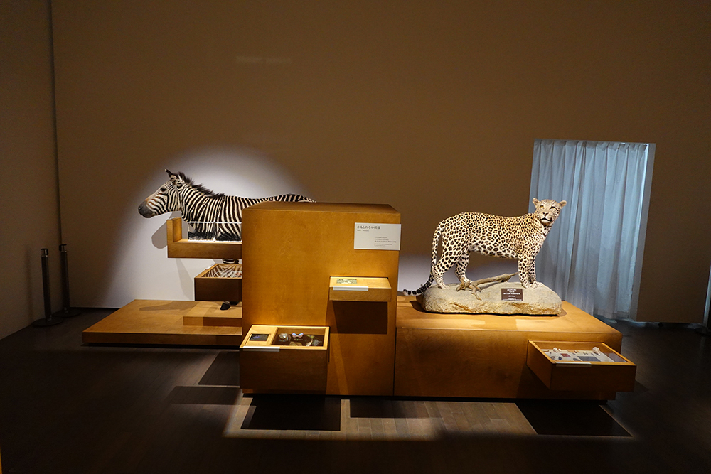 巡回展3