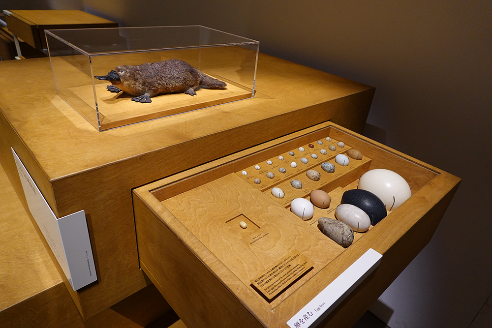 巡回展4