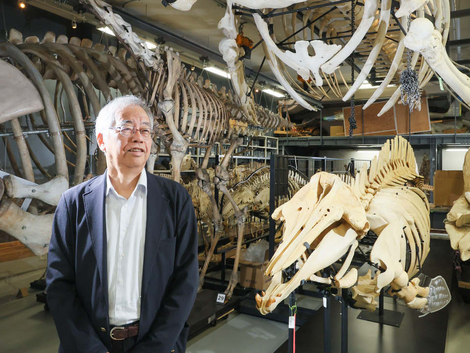 国立科学博物館 館長 篠田 謙一 氏 国立科学博物館 館長 篠田 謙一 氏